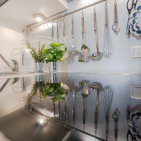 Berolina 505 * ダーメ